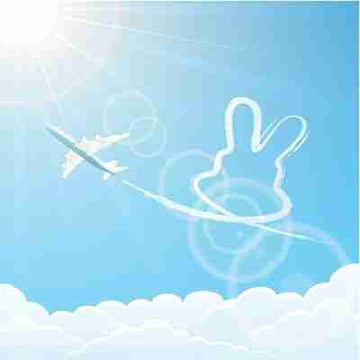 Flying with Rabbits: Top Tips for Safe Travel