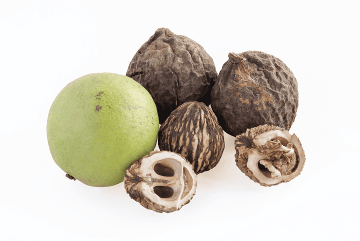 Black walnut fruit: toxic to rabbits.