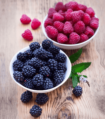 Blackberries and raspberries for pet treats.