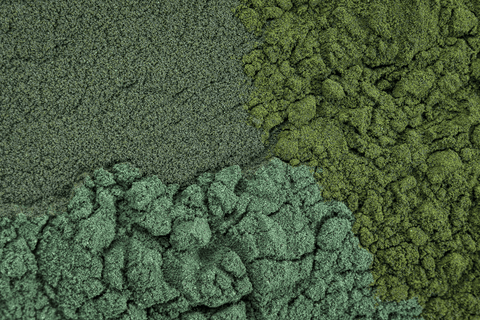 Toxic blue-green algae: avoid for pets.
