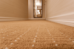 Toxic carpet warning for bunnies