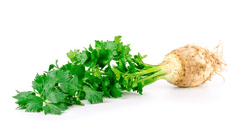 Celeriac root treat for rabbits.