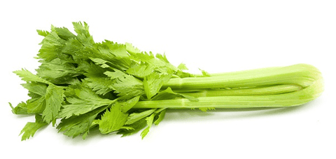 Fresh celery leaves for rabbits' snacks.
