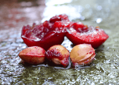 Cherry pits: poisonous, avoid for rabbits.