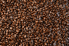 Coffee beans, toxic to rabbits.