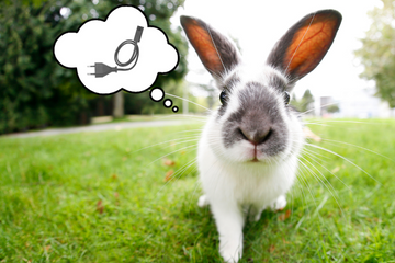 White and grey rabbit in the grass with a thought bubble that had a cord in it.