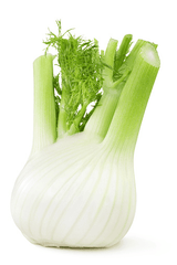 Fennel bulb for balanced daily meals.