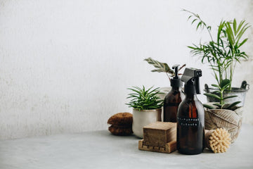 Some household items, including a spray cleaner, soap, and indoor plants.