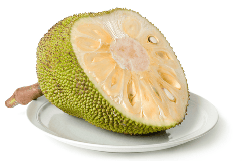 Jackfruit fruit: Do not feed rabbits.