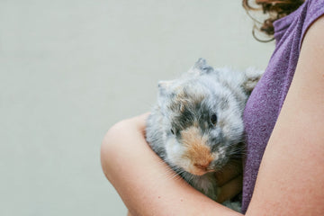 A rabbit is getting held close in a womans arms. He is safe