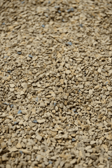 Kitty litter: Toxic if pets ingest.