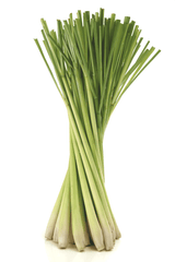 Lemongrass stalks, safe bunny treat.