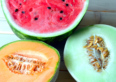 Melon treat for rabbits and pets.