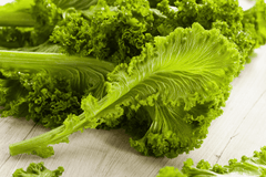 Mustard greens as rabbit treat.