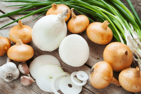 Toxic plants for rabbits: onions, garlic, chives