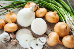 Toxic plants for rabbits: onions, garlic, chives