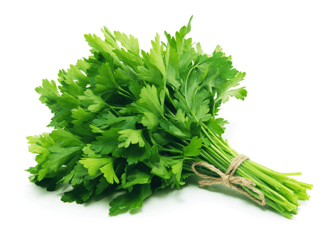 Fresh parsley for rabbit treats.