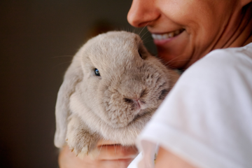 A woman holding a grey rabbit while smiling
