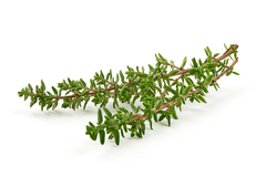 Thyme herb for rabbit treats.