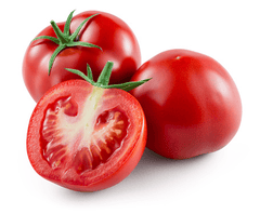 Fresh red tomatoes for pet treats.
