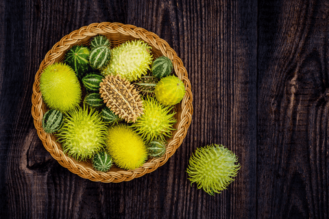 Wild cucumber plant: Toxic to rabbits
