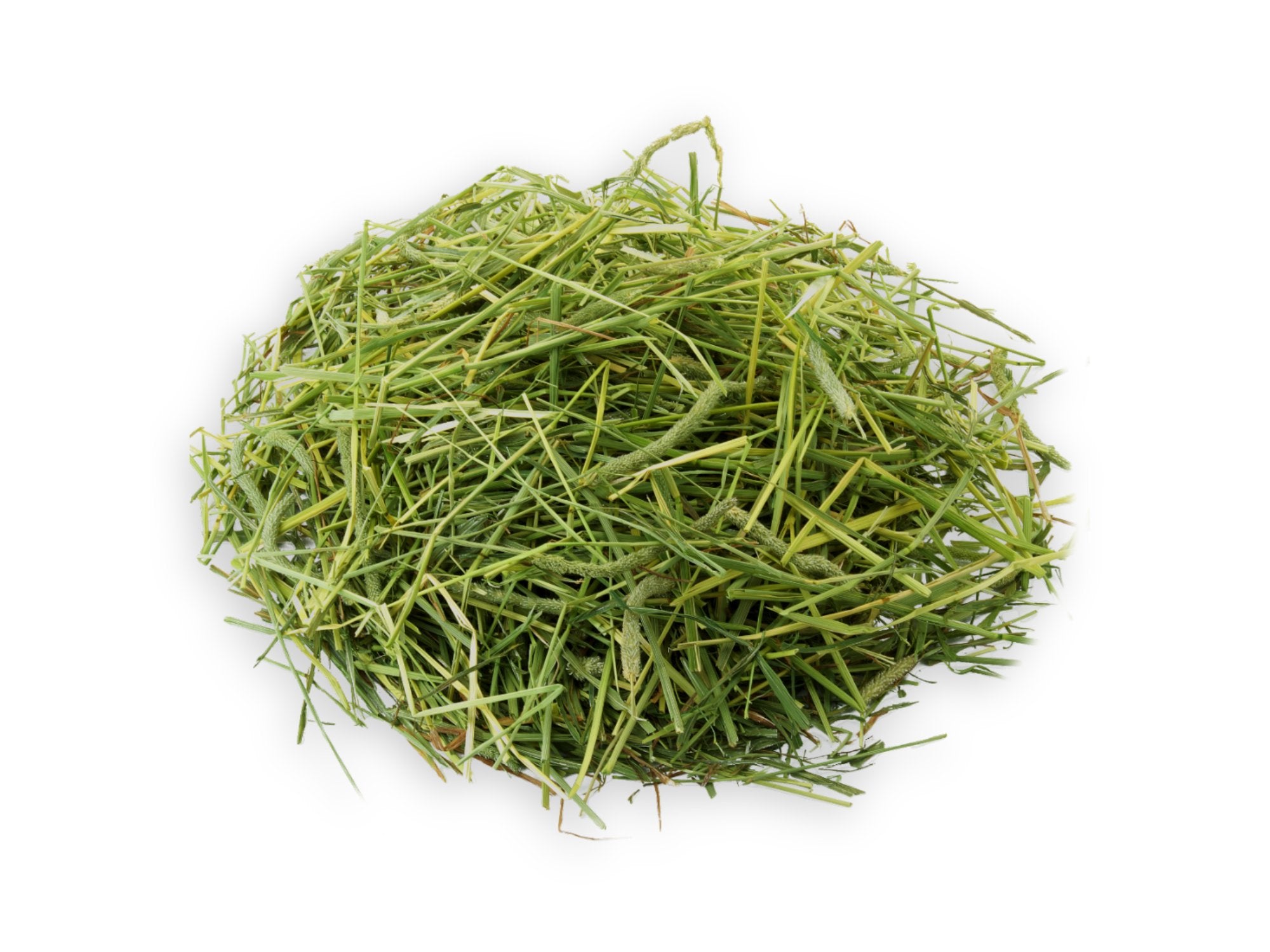 Premium Hay for Your Rabbit
