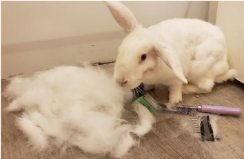 HairBuster Comb