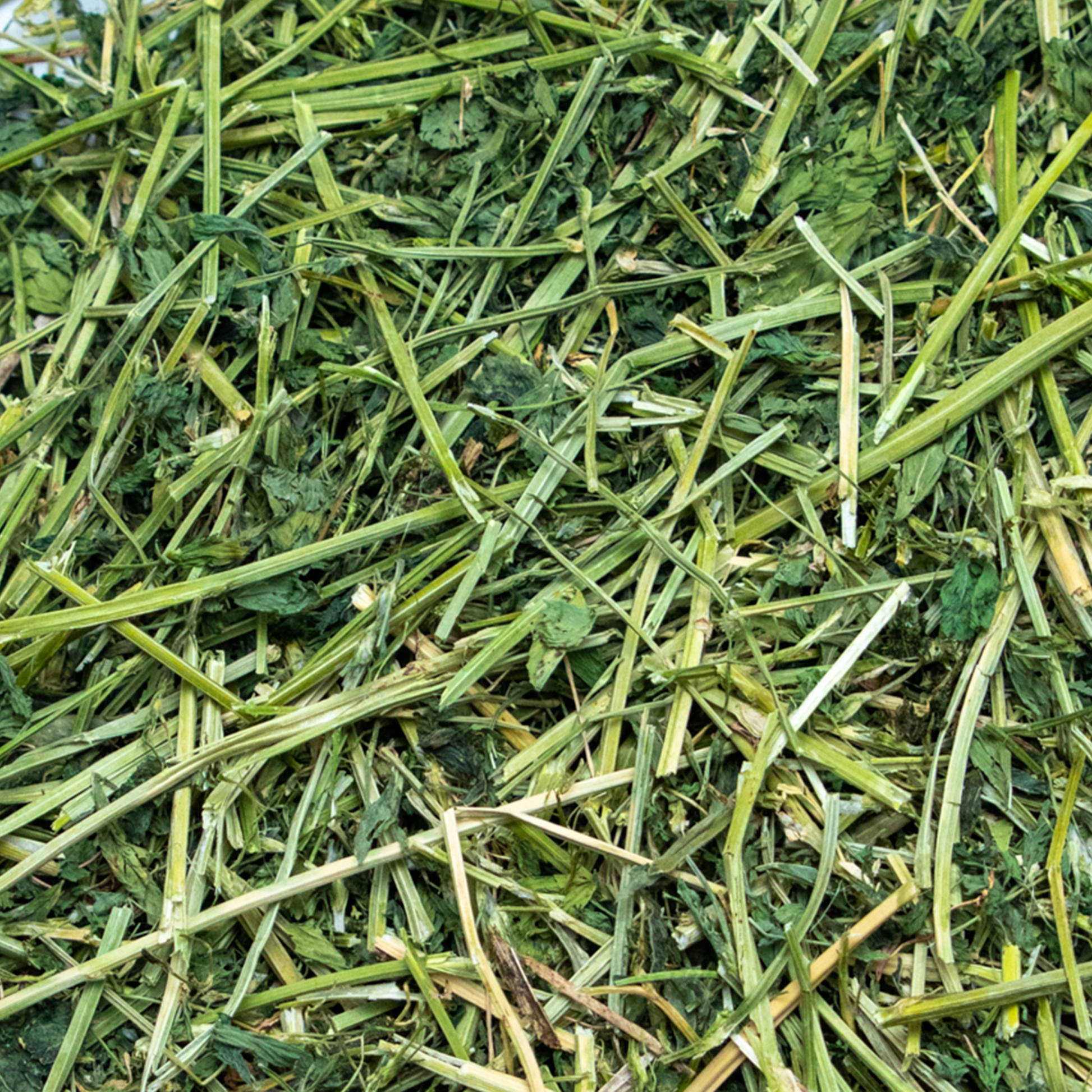 Ultra Premium Alfalfa Hay - Close Up