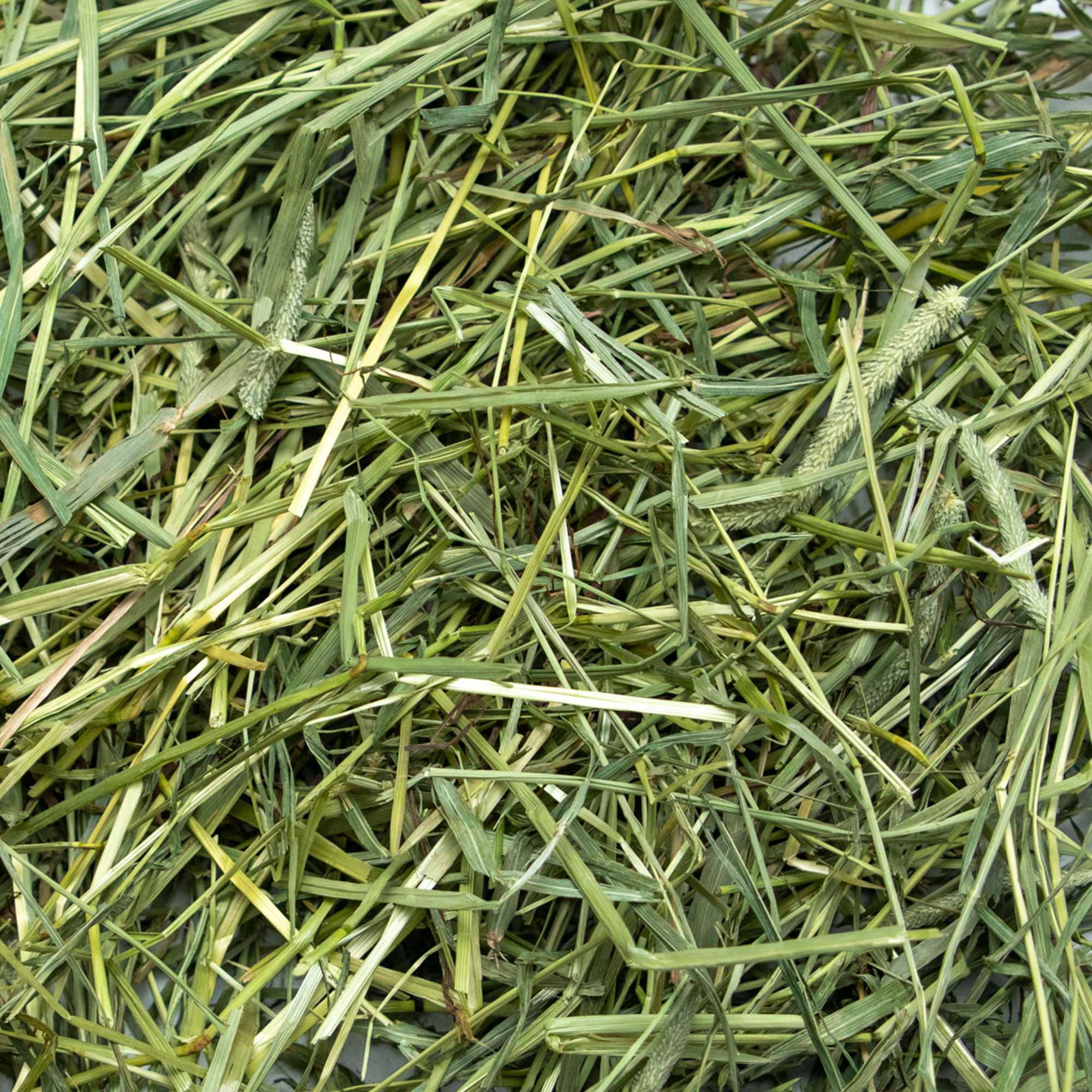 Ultra Premium Coarse Timothy Hay - Close Up