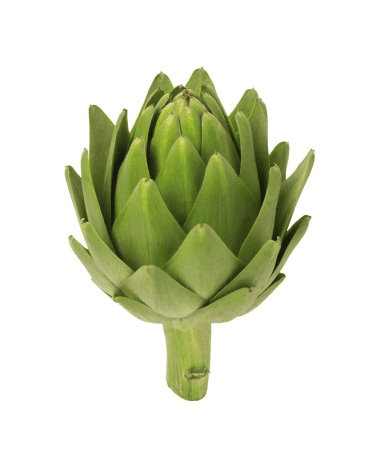 Artichoke leaves