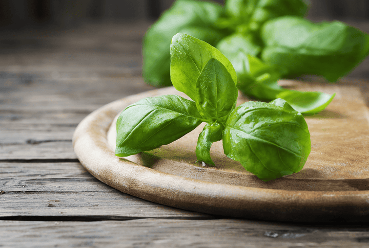 Basil leaves for pet health meals