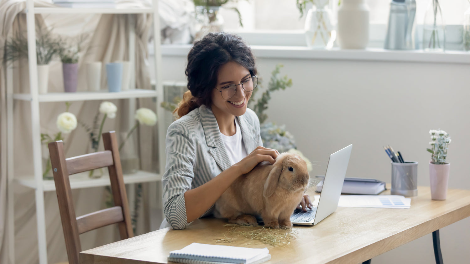 What Is Fly Strike and How Do I Prevent My Rabbit From Getting It?