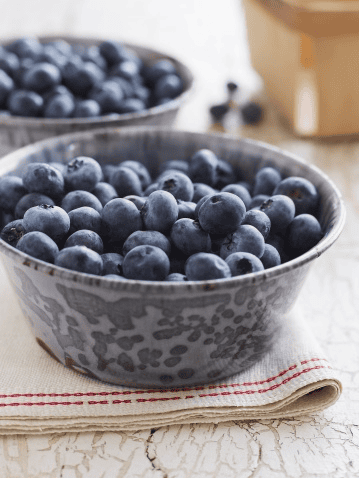 Blueberries as a pet treat sparingly