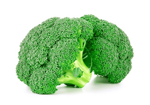 Broccoli: tiny portions only—an infrequent rabbit treat.