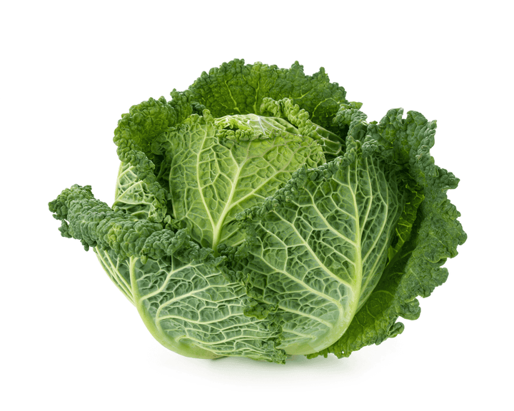 Cabbage: never feed to rabbits; keep it off the menu.