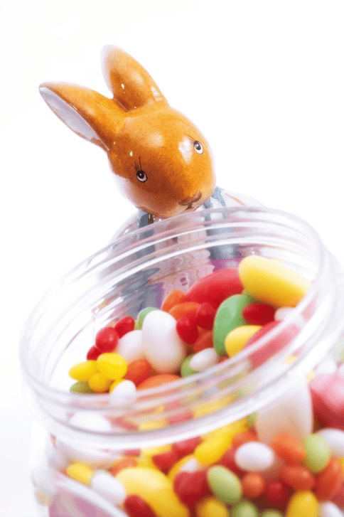 Do not feed Candy to rabbits—not food for bunnies.