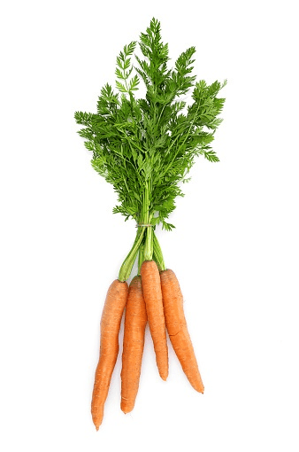 Carrots in small daily amounts works for rabbits with hay first.