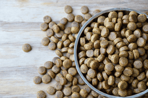Dog food for dogs only – not for rabbits.