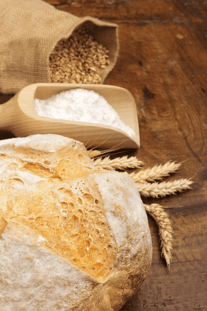 Rabbits should not touch Dough; toxic plant.