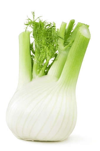 Fennel: fine for rabbits in limited daily amounts with hay.