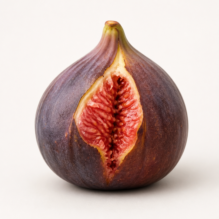 Small Fig bites can count as a rabbit treat now and then.