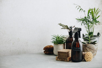 Some household items, including a spray cleaner, soap, and indoor plants.