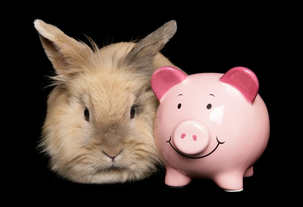 A small brown rabbit sitting next to a pink piggy bank.