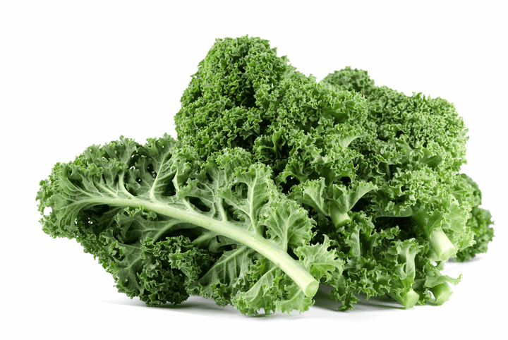 Kale leaf: Poisonous for rabbits