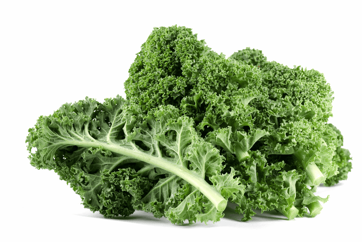 Kale: unsafe for rabbits—remove it from browse areas.