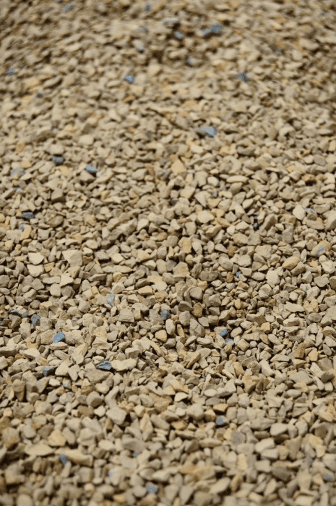 Kitty Litter and rabbits do not mix—poison risk.
