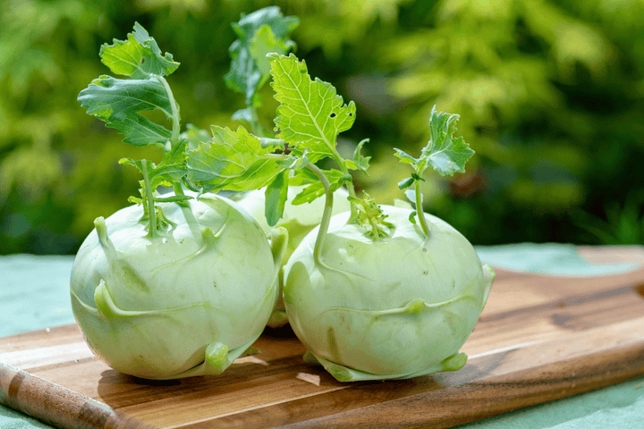 Kohlrabi plant: leaves for daily rabbit snacks.