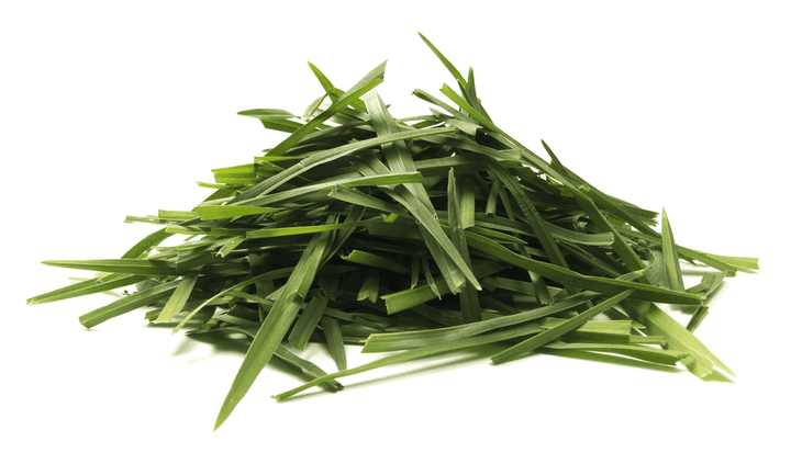 Lawn Clippings and rabbit stomachs do not belong together—never feed.