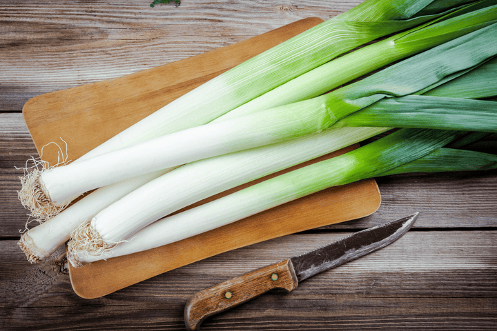Do not put Leek in a rabbit bowl—not meant for bunnies.