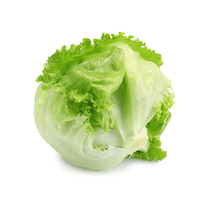 Do not feed Light colored lettuces to rabbits—not food for bunnies.